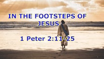 1 Peter 2:11-25